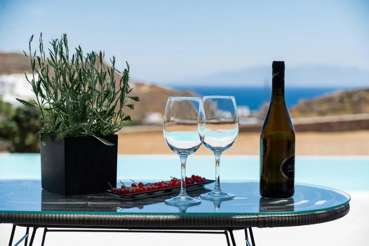 Dioni Villa Mykonos 프라가 그리스