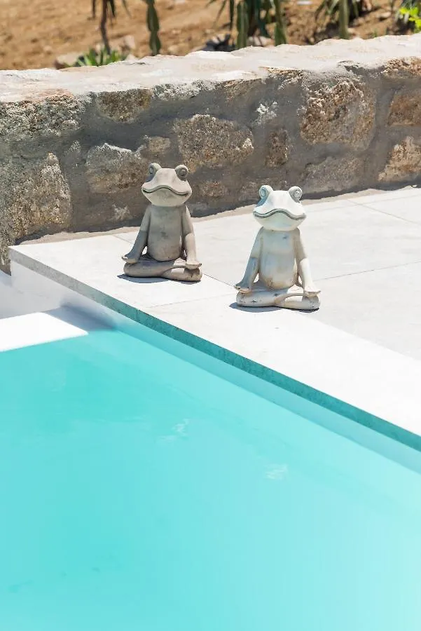Dioni Villa Mykonos 프라가
