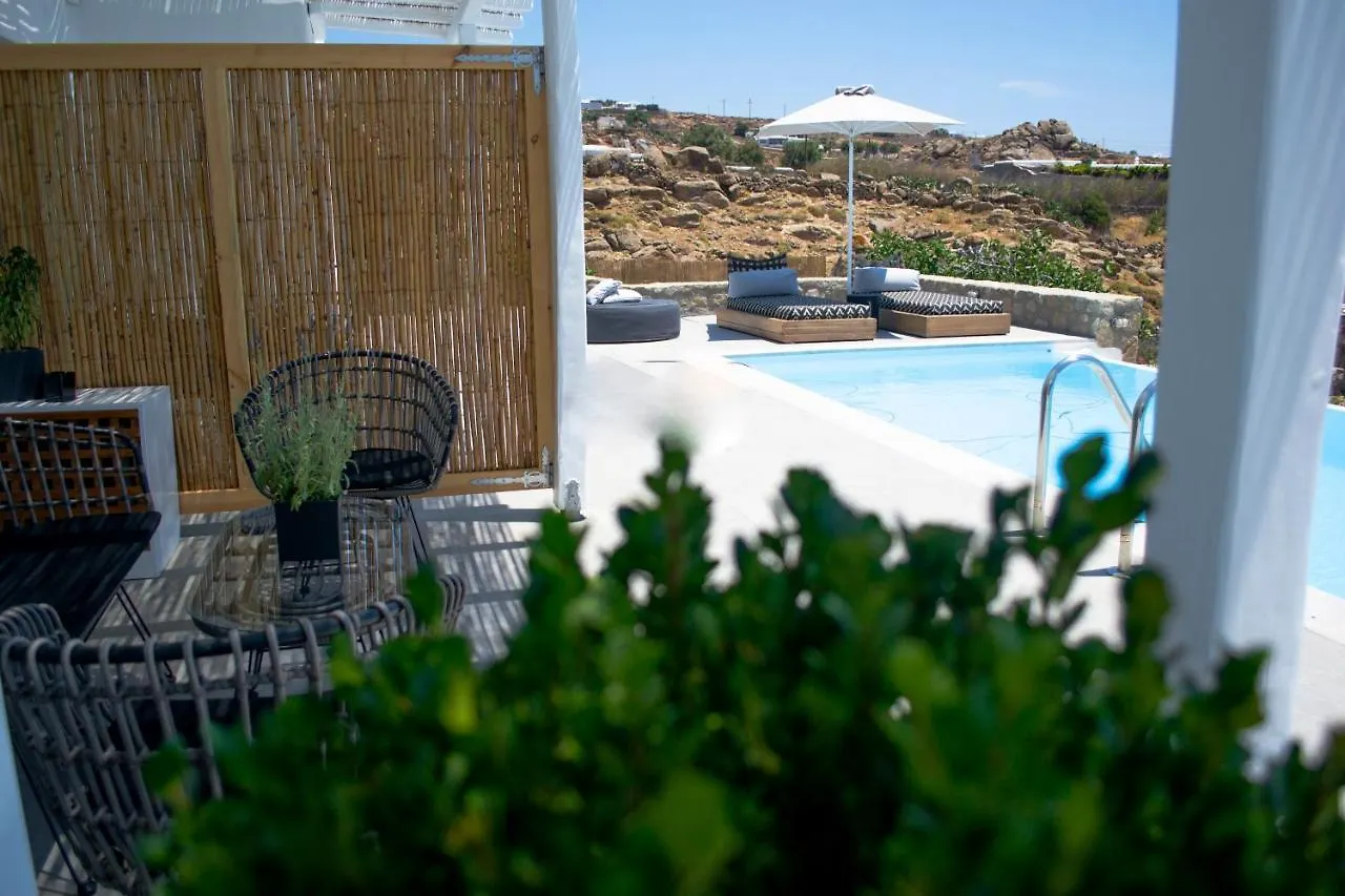 Dioni Villa Mykonos 프라가