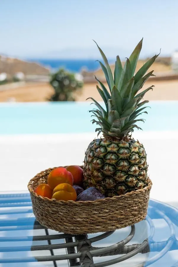 Dioni Villa Mykonos 프라가 0*,  그리스